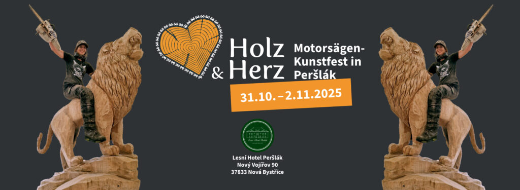 Lisa Hirschbichler auf einem geschnitzten Löwen mit einer Motorsäge in der Hand. Titelbild für das Holz & Herz Motorsägen-Kunstfest.