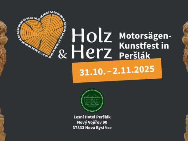 Lisa Hirschbichler auf einem geschnitzten Löwen mit einer Motorsäge in der Hand. Titelbild für das Holz & Herz Motorsägen-Kunstfest.