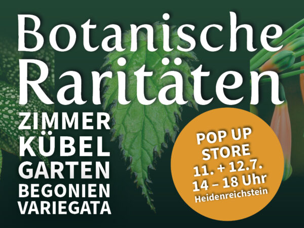 Werbeplakat für den Pop-Up-Store "Botanische Raritäten" in Heidenreichstein (11. + 12.7.2026, 14–18 Uhr) mit Fokus auf Zimmerpflanzen, Kübelpflanzen und Begonien (Variegata).